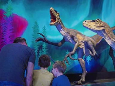 Enjoy a calm and relaxed start to the day at the Australian Museum's Early Birds: Autism and Sensory-Friendly Mornings. Enjoy a calm and relaxed start to the day at the Australian Museum's Early Birds: Autism and Sensory-Friendly Mornings.