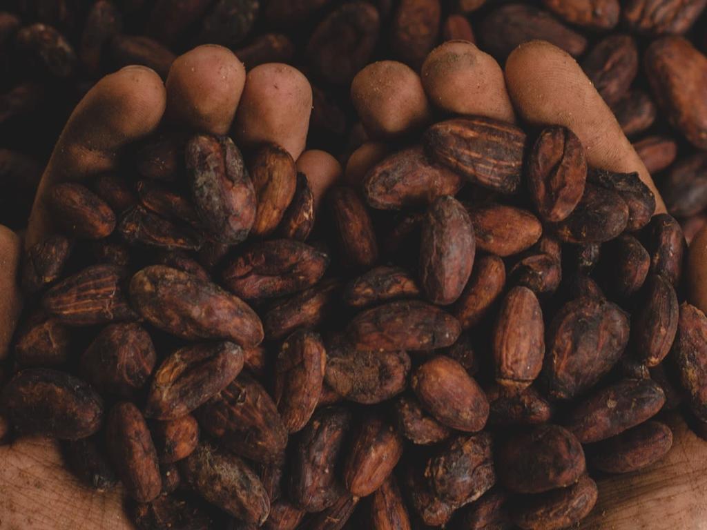 Earth Medicine: Cacao Ceremony 2022 | Bondi Beach
