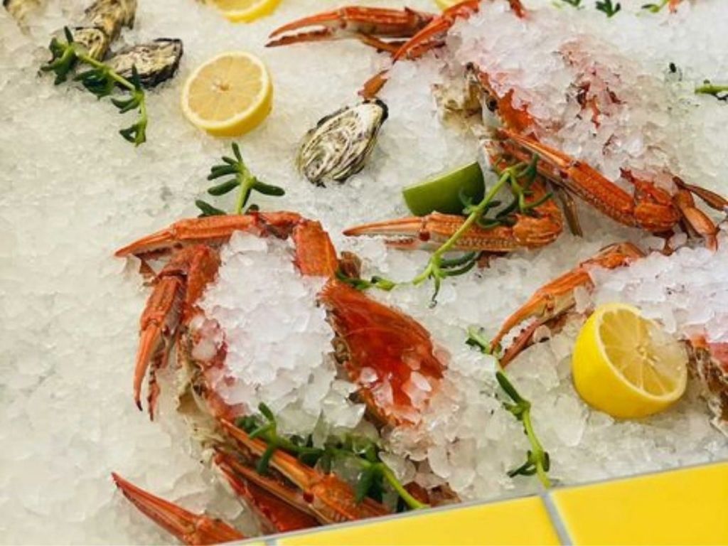 Easter Seafood Festival At Merrymaker Rooftop Bar 2022 | What's on in Adelaide