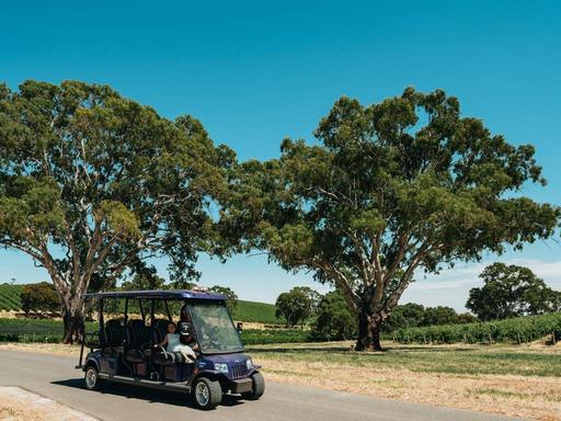 Embark on an unforgettable journey through Lambert Estate's picturesque vineyards with our e-cart experience. Nestled in...