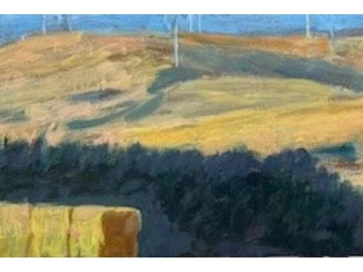 Edward Coleridge's paintings study the rural landscape on the eastern side of the Western District as well as the contem...