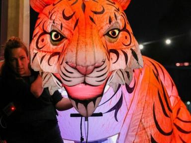 Melbourne's nights come alive with a surreal world full of giant illuminated animals, mesmerising soundscapes, roving performers, and dynamic lighting.