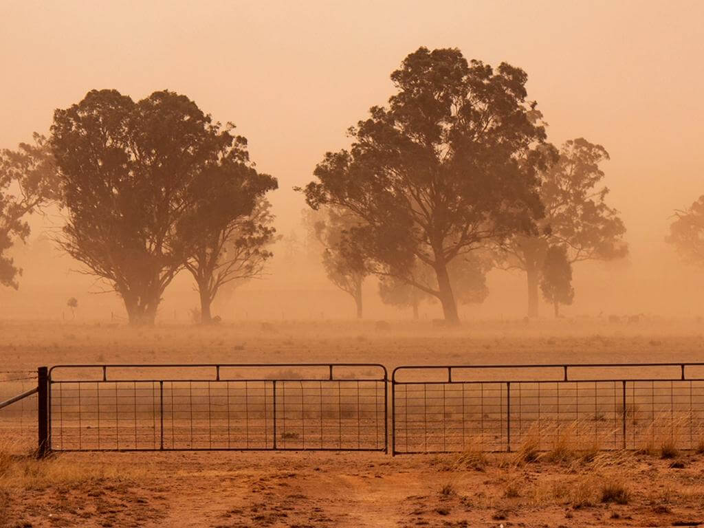 Emotion and Anxiety in Environmental History 2021 | What's on in Sydney