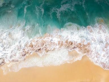 This stunning exhibition takes you on a journey- travelling on board the ship with Cook and for the first time hearing t...