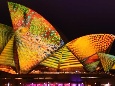Vivid Sydney is the most-awaited lighting festival in Sydney. It multiplies the dazzling Sydney vibes by about a thousan...
