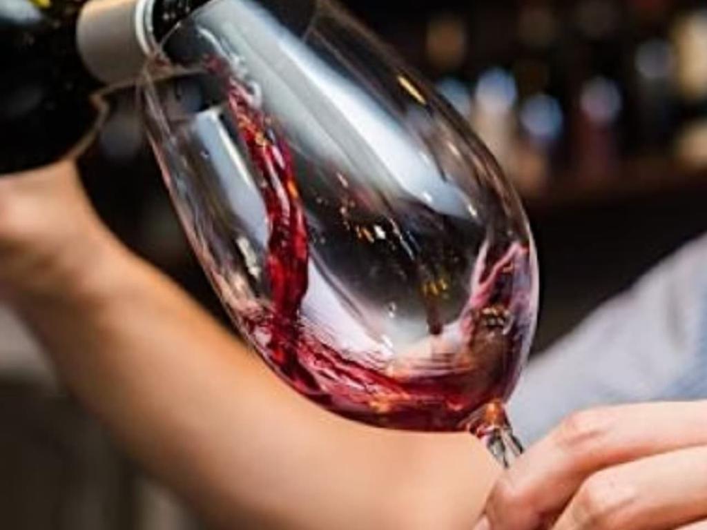 Etna wine tasting 2023 | Sydney