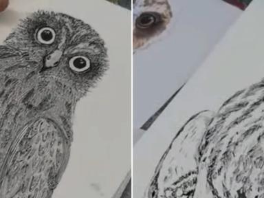 Unleash your creativity over 5 weeks and build your drawing skills in a fun and relaxed environment with artist and educ... Unleash your creativity over 5 weeks and build your drawing skills in a fun and relaxed environment with artist and educ...