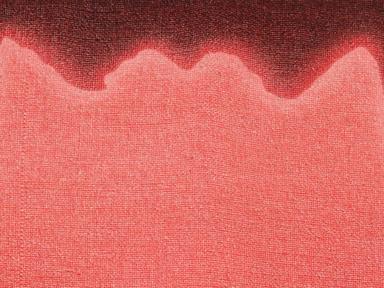 everything in its right place brings together the work of Oscar Nimmo, Sybilla (Billie) Robertson, and Jacquie Meng-thre... everything in its right place brings together the work of Oscar Nimmo, Sybilla (Billie) Robertson, and Jacquie Meng-thre...