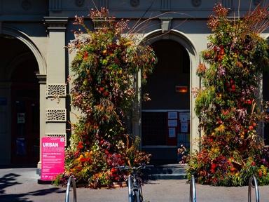 Everything Old Will Bloom Again is an installation in North Melbourne by florists Casa Verde. It is part of Urban Blooms...