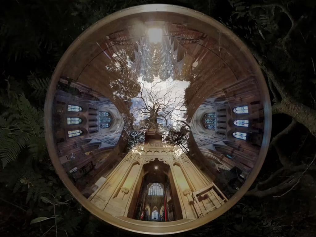 Exhbitions On Screen | Canopies & Cathedrals 2025 | What's on in Perth