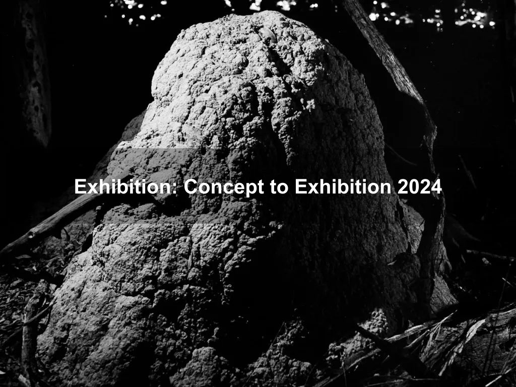 Exhibition: Concept to Exhibition 2024 | What's on in Griffith