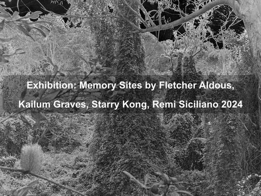 Memory Sites is a photographic and moving image exhibition that explores landscape photography as a remnant and cue to memory