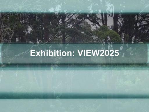 VIEW2025 brings together the work of Cailyn Forrest, Adam Hsieh, Fiona Lee, Aia Solis, and Emma Lyn Winkler