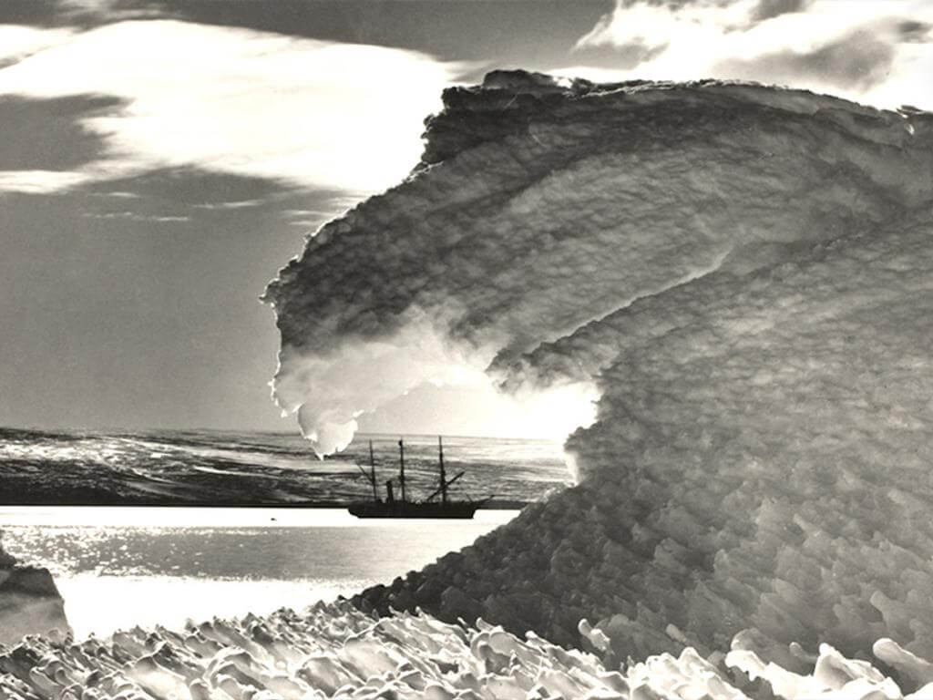 Exhibitions on Screen | Chilled: Antarctic Life 2023 | Perth