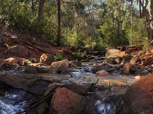 Djilba (Aug-Sept)


Djilba is the fifth season in the Nyoongar Calendar. This is the season of growth, as the weather be...