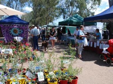 The Fernvale Country Markets take place every Sunday at the Fernvale State Primary School on the Bri