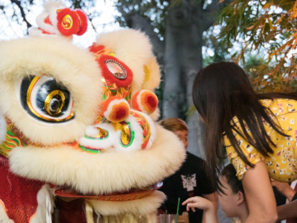 Festive vegan specials and lion dance at Bodhi 2021 | What's on in Sydney