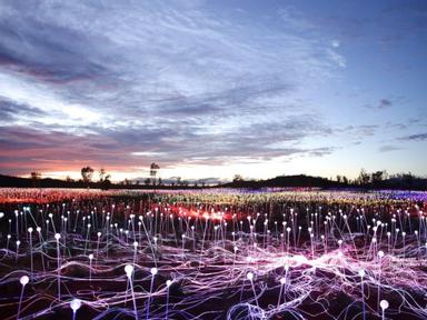 Ayers Rock Resort will host the largest Field of Light installation to date.