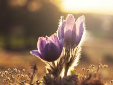 Spend time with your best self on a journey from sadness and anger to peace and joy. The timeless wisdom and meditative ...