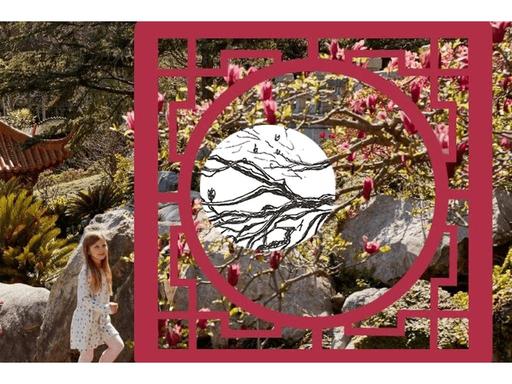 Frame The Garden 2026