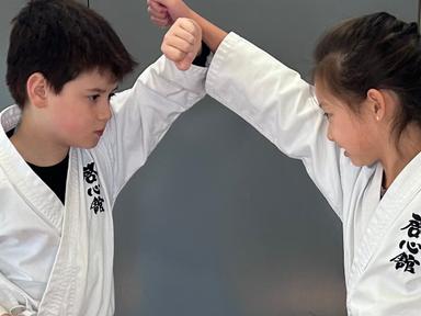 Australia Kei Shin Kan Karate Federation is a not for profit organisation, and is running a free school holiday karate p...
