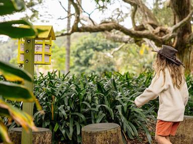 Join a pollination party celebrating some of the Garden's busiest workers!Join Botanic Garden's educators to understand ...