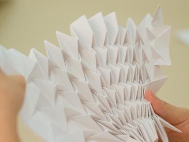 Creating at the nexus of art and science STEAMpop and paper artist Lisa Giles returns to Sydney Craft Week with an engag...