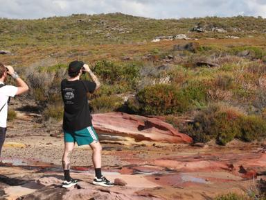 Get ready for an exhilarating full day tour of discovery birdwatching from sunrise to sunset as we explore Sydney's dive... Get ready for an exhilarating full day tour of discovery birdwatching from sunrise to sunset as we explore Sydney's dive...
