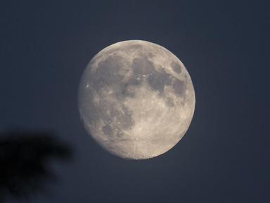 Join us for a guided Full Moon Gathering centred on mindfulness, reflection, and heartfelt connection. Together, we'll m...