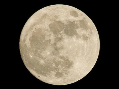 90 minute class dedicated to Full Moon themes and energy. The evening will be a combination of Kriya- Meditation and Rel...