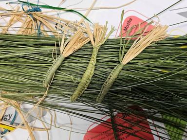 Gathering presents Kyara - Weaving. Kyara Hourigan is a proud Bundjalung, Mununjali, Kamilaroi and Mandandanji woman whose weaving practice was passed down through her mother.... Gathering presents Kyara - Weaving. Kyara Hourigan is a proud Bundjalung, Mununjali, Kamilaroi and Mandandanji woman whose weaving practice was passed down through her mother....