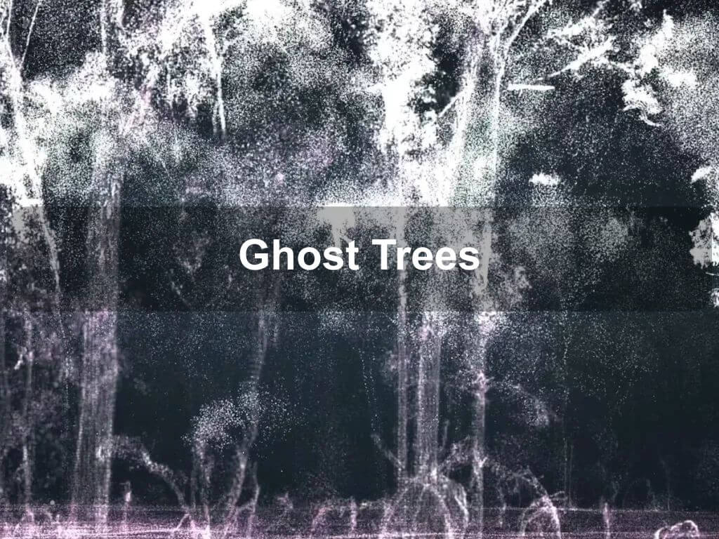 Ghost Trees | National Science Week 2024 | What's on in Acton