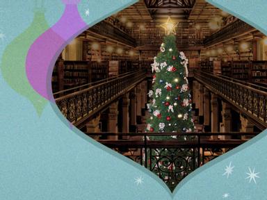 Visit the Mortlock Chamber and come see our giant Christmas tree, and whilst you are here:Take a seat under the tree or ...