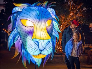 Be dazzled by over 70 giant animal lanterns and installations, the magical 7NEWS Underwater