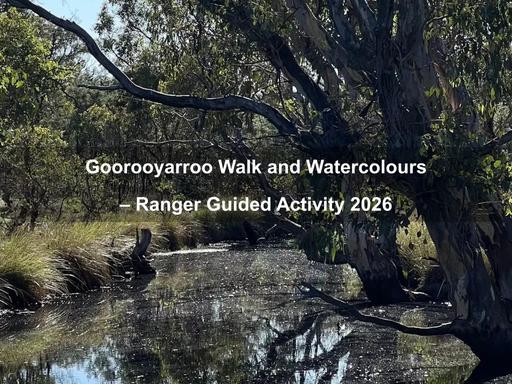 Join Ranger Riley for a 4-kilometre walk through Goorooyarroo Nature Reserve and pause to paint a watercolour landscape together