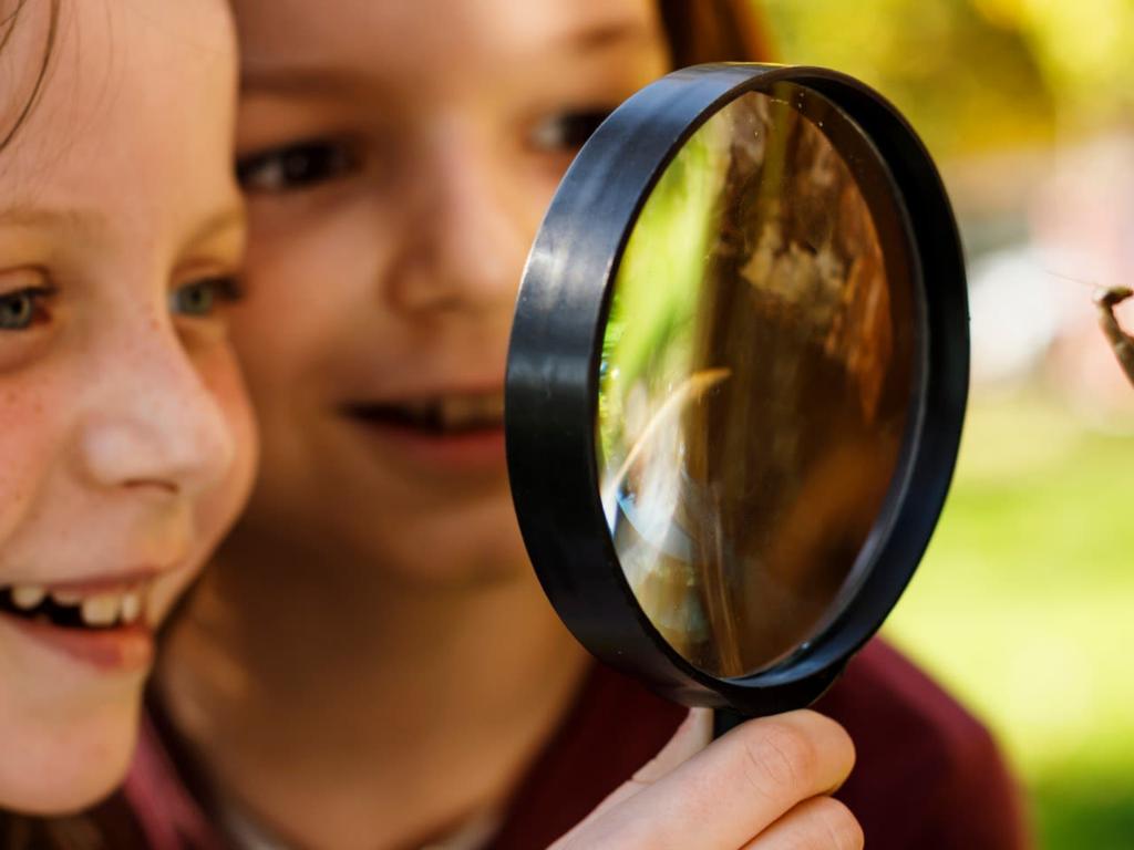 Great Southern BioBlitz - Community Survey - Sydney Park 2022 | What's on in Alexandria