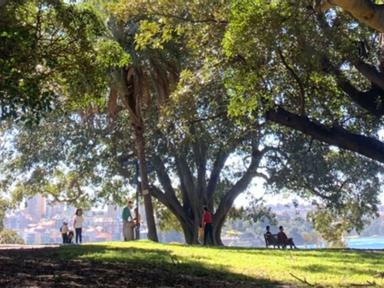 The NSW Government has proposed 'amalgamating' significant Sydney public parklands into Greater Sydney Parklands- an age...