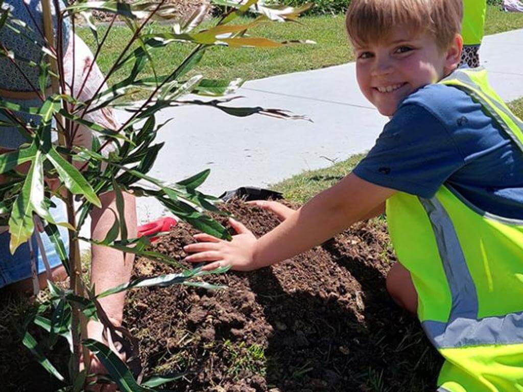 Green your park - Banyo tree planting event 2023 | What's on in Banyo