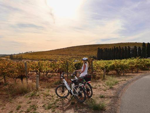 Discover McLaren Vale by eBike - A Grenache & Gourmet Festival experience!Celebrate the Grenache and Gourmet Festival wi...