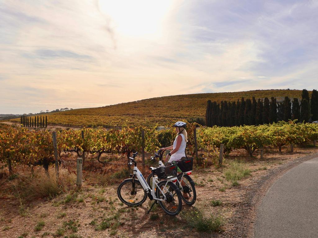 Grenache & Gourmet: Discover McLaren Vale by eBike 2025 | What's on in Mclaren Vale