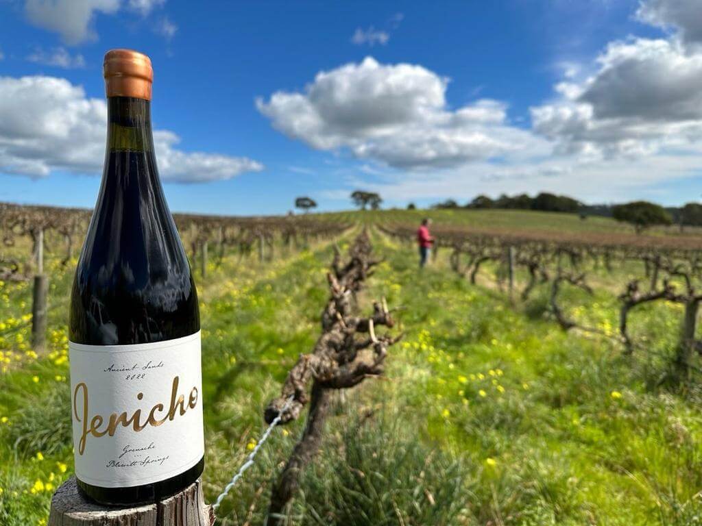 Grenache & Gourmet - Tasting & Tapas with Jericho Wines 2023 | What's on in Mclaren Vale