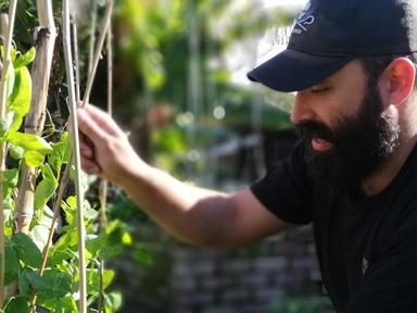 Join us online in the award-winning permaculture garden each Friday afternoon and learn skills under expert guidance in a friendly setting.Small spaces can yield big results when productive gardens are designed according to permaculture principles. With many of us with limited space- this practical course led by permaculture expert and landscape architect Steve Batley- will help you grow more than you thought possible.Oct 16 - Permaculture principles - ObservationOct 23 - Design planning - sector analysis & zone planningOct 30 - No waste - compost and worm farmingNov 6 - Plants- Soil and Bacteria - GuildsNov 13 - Propagation - Seeds and cuttingsNov 20 - Propagation - TransplantingNov 27 - Water conservation - Wicking BedsDec 4 - Small spaces - Vertical and aquaponicsDec 11 - Small spaces - Containers and microgreensDec 18 - Pest management - plant health and predatorsGrowing Big in Small Spaces is available as a complete ten week course for&nbsp;face-to-face&nbsp;participants or as individual sessions via zoom.* * Each workshop is recorded and you may appear in the published video. Recordings of past topics can be found on Council's youtube channel under the&nbsp;PermaBee playlist.