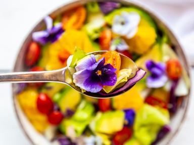Learn to grow beautiful- edible flowers.Edible flowers add a splash of colour to salads- cakes and festive drinks. Learn...