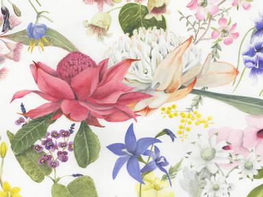 An exhibition of botanical art representing Australian flora by members of the Friends of the Australian National Botani...