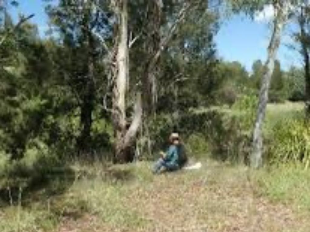 Guided forest therapy walk at UMBAGONG DISTRICT PARK, BELCONNEN 2024 | What's on in Canberra