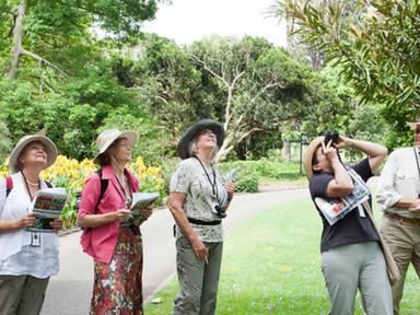 Explore the heritage and plant diversity of the Royal Botanic Garden Sydney with a knowledgeable volunteer guide. Daily ...