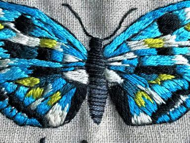 Learn the fundamentals of embroidery with this live online course!You will learn these stitches over the 4 workshops:Ses...
