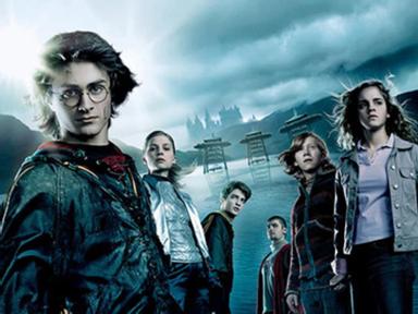 Join Harry, Hermoine and Ron under the stars for this special screening of Harry Potter And The Goblet