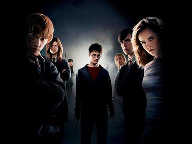 Thestrals and prophecies and Umbridge, oh my!Experience the magic of Harry Potter and the Order of the Phoenix on the gi...