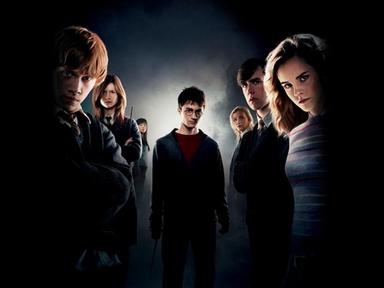 Thestrals and prophecies and Umbridge- oh my!Experience the magic of Harry Potter and the Order of the Phoenix on the g...
